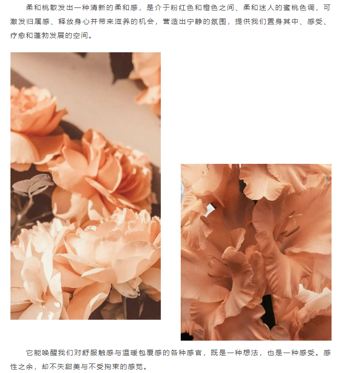 /ueditor/image/20231227/1703656741914862/image.png image.png